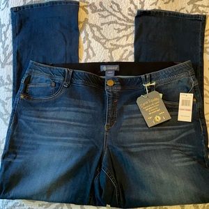 NWT 22W Democracy Dark wash jeans